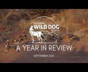 Waterberg Wild Dog Initiative