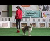 LuXaDeR dogdance u0026 tricks