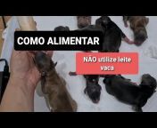 Thalita Portugal Veterinária