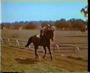 Vintage North American Horse Racing