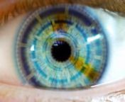 videoblocks-opening-eye-to-reveal-digital-hud-hologram-over-pupil-dark-blue-01_sjxzkufan__D4k from d4k