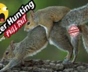 Fall = 1 thing… all critters are in FULL Rut! Chipmunks and Squirrels are everywhere, and in this video we discuss effective ways of humanely dispatching them during this time of year.nnPer the usual, this video is packed with some good ole fashion pest control with the EDgun Leshiy and EDgun Leyla 2.0!nnAll footage is shot through the ATN X Sight 4K or ATN Thor 4 Thermal scope and Tactacam 5.0 cameras downrange. nnLooking for some behind the scenes action?Come follow EDgun Leshiy on Insta