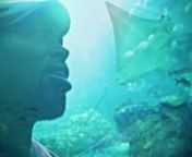 Directed by: Mark ValinonnKuzama means submerge in Swahili nnSong Credits:nWritten &amp; Performed by Rahan BoxleynProduced by MillsnRecorded &amp; Mixed by Ryan Gentrynnhttp://www.youtube.com/rahanboxleymusicnwww.rahanboxley.comnnSpecial Thanks to: Ripley&#39;s Aquarium of Canadannfollow Valino on twitter here:nhttps://twitter.com/#!/MarkValinonwww.MarkValino.com