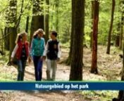 Are you interested to go camping in Holland? Camping Holland