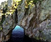 The Poor Knights Islands: Northern Arch, Middle Arch, Rikoriko Cave (cave of echoes), Maroro Bay, Starry Toado baitballs, trevally, blue maomao.nnMusic by Steve Moase, &#39;Toots High&#39; (baritone ukelele)