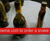 The snakes are immersed in 100% rice wine in special glass bottles and then they are sealed and stored in a cellar for five years... The wines, containing substances necessary for the human body, are high quality tonics. Regularly drinking appropriate quantities of the wines can moisturize your skin, improve your appetite, and strengthen your bones, tendons and muscles. They are used to treat general fatigue, hair loss, migraine headaches, rheumatism, and neurasthenia. The tonic wines do not cau