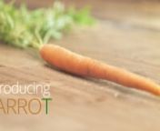 Carrot is designed with you in mind. It’s a seamless experience, meticulously crafted, from beginning to end. nnIt’s not just a vegetable. It’s what a vegetable should be. nnMore information at www.IntroducingCarrot.com