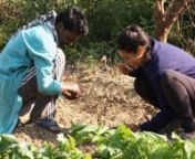 Aditi Punj introduces Bija Vidyapeeth--Vandana Shiva&#39;s Earth University--based at her organic farm in Northern India. Learn about The Seeds of Vandana Shiva, our documentary in post production about Dr. Shiva&#39;s extraordinary life at vandanashivamovie.com.