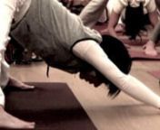 YMT - Yoga and Meditation Training nwww.yogameditazione.com