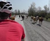 LEARN THE SECRETS TO BIKE TRAVEL IN OUR BOOK! https://cyclingabout.com/bicycle-touring-book/nnThis is our second video in a series of us cycling about the world. Azerbaijan was an incredible country to travel by bicycle - we hope you enjoy this video! nnAlleykat are currently riding a tandem bicycle around the world from 2012-2014! For more information check out our website.nnVideo edited on our iPad as we roll along! ;)