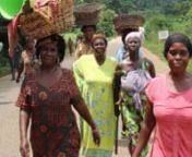 The Centre for Development Studies at the University of Bath presents a film examining the impact of Fairtrade initiatives on women cocoa farmers in Ghana.