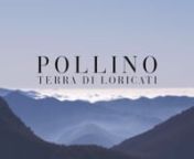 Short tale of a winter trip in Pollino National Park. Images show Serra di Crispo and Giardino degli Dei (Gods’ Garden), some of the most beautiful and astonishing places of this National Park. nThe protagonist of the video is a tree, Pino Loricato (Bosnian Pine), symbol of Pollino, rarely present in Italy and known as the oldest national species of centenarian trees; between Calabria and Basilicata, where thousands of pine trees were found, it was certified that in 1989 the oldest pine reache