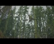 Last spring Freehub videographer Chris Grundberg spent an afternoon in the woods testing out a new sensor in the RED camera. However friend and test subject Kelend Hawks&#39; idea of