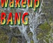 Sorry for the shock but this is exactly the effect that woke me up.nnMystical Camping, Old Age Retreat 2016 day 8 on 3/6/2016. Here&#39;s what I wrote. nnDuring the night I was awakened by a large explosion or shot or bang or crash. Felt like it was in my face and I drew back my head forcefully. Then, of course, the silence, the tension of wondering