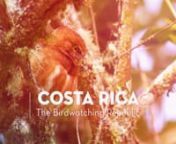 Costa Rica is a really small country but it´s home for more than 900 bird species. This video was premiered in the Birdfair 2016 in United Kingdom as part of the biggest campaing to bring birdwatching tourism to Costa Rica. So proud to be part of this effort joined with Costa Rica Birding.nnWe invite you to follow us on facebook: nBatsu: https://www.facebook.com/batsuestudionCosta Rica Birding: https://www.facebook.com/CostaRicaBirdingHotspotsnAlvaro Cubero: https://www.facebook.com/alvarowildl