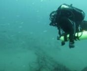 Unedited footage of the first known descent by divers onto the FV Jabren, a trawler that was operated by the Puglisi Family out of The Gold Coast in Queensland. Sadly in May 2013 she caught fire and sank in 40 metres of water. Thanks to