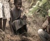 Deze film verteld het verhaal van Stichting WakK (www.stichtingwakk.nl), een organisatie die zich inzet voor de welstand van kinderen in Kagera. Stichting WakK, zoveel meer dan bomen planten!nnCamera &amp; edit: Kees RiphagennProductie van Rotterdam Filmproducties