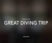 The great diving trip FEB 2015, Bali and Gili Air Indinesia.