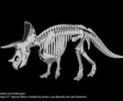 Toon shading in Mantra and Houdini 14.0.359.nnThe models of T-rex and Triceratops by Alvaro Luna Bautista and Joel Anderson.nhttp://www.3drender.com/challenges/Natural_History/index.html, which can be downloaded from http://www.3drender.com/challenges/index.htm