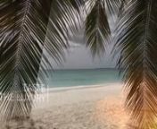LDTV Caribbean Club -The Cayman Islands from ldtv