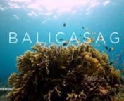 I’m proud to share this material showcasing the beautiful underwater world of the Bohol Sea. Shot entirely in 4K with a Nikon D850 in Balicasag Island, Bohol, this video is currently on exhibit at The National Museum of Natural History, played on loop on LG TV 8w wallpaper OLED TVs.nnAll the clips shown here were shot in only two days in Balicasag Island--a testament to the immense luck that was on our side. I was initially skeptical of being able to fill a 2-minute video with enough footage