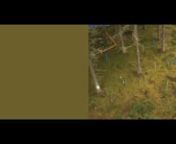 excerpts, 3min out of 30minna multi channel video installation by Agnes Meyer-Brandis, 2018/21nnWhat colour would a forest have if it had only one colour?nGreen? Maybe not…nnThis arrangement of two-channel video installations shows each tens of thousands images taken from scientific observation cameras of forests in Finland over the course of two years – and their average RGB colour values. The point of departure of this investigation was a conversation with the forest and climate researcher