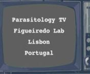 One-minute videos submitted for the Molecular Parasitology Meeting XXXI “World’s Coolest Parasitology Lab” intermission video contest. Videos 1–6.nMore about MPM XXXI: https://genetics-gsa.org/parasitology-2020/