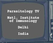 One-minute videos submitted for the Molecular Parasitology Meeting XXXI “World’s Coolest Parasitology Lab” intermission video contest. Videos 7–12.nMore about MPM XXXI: https://genetics-gsa.org/parasitology-2020/