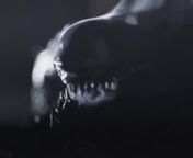 Check out my Xenomorph sculpting I&#39;ve done while boring 3d rendering. No cmd+z or cmd+s while sculpting it. Strange feeling I have to say :)nnMusic: Bishop&#39;s Countdown by James HornernnIn memories of Hans Rudolf Giger and James Roy Horner