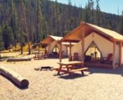 A glimpse into the Glamping Tents at Piney River Ranch in Vail, Colorado