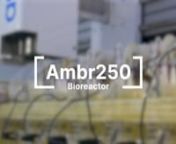 Synthace Ambr250 (TAP Biosystems/Sartorius) - 31st August 2023 Test run