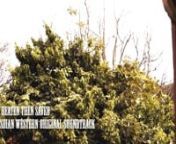 Award Winning Filmmaker Shane Borza Presents the LESBIAN WESTERN ORIGINAL SOUNDTRACK: Track 07