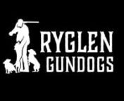 At Ryglen Gundogs we use a low force, no ecollar methodology. Largely based on training techniques that Jay has learned through the years at Wildrose Kennels and spending time in the UK and adapting it to English Cocker Spaniels. We want the dogs to do their work because they enjoy it and trust their handlers. It has to be a team approach with the handler being the leader of the team.nnAlso, at Rylgen Gundogs we only train the dogs that are breed at our facility. That way we know exactly what it