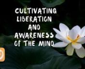 Cultivating Liberation and Awareness of the Mind | Larry Ward from sutras