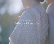 Nitiya & Chanisorn: The Wedding from nitiya