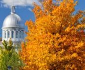 Explore the cultural riches and natural beauty of Eastern Canada and New England, with the multicolored splendor of autumn as your scenic backdrop.