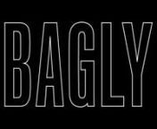 The Boston Alliance of LGBTQ+ Youth (BAGLY Inc.) — Guide to Audacious Living from bagly