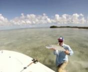 http://onehookup.blogspot.com/nWhat a day. I set out 30 miles from civilization with the SAT phone for tarpon and ended up getting hooked on a bruiser to say the least. The feed on this fish was incredible. Head out of the water eat. To put action on a bonefish fly with this speed will only work going with the tide. Notice in the end of the fight how she begins to head shake as a last resort. Only the big fish do this. Beautiful morning full of dolphins and bones as far as the eye can see! Stoki