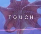 TOUCH is a production of 20th Century Fox Television, Tailwind Productions and Chernin Entertainment. The series is created and written by Tim Kring. Kring, Francis Lawrence (