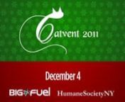 Big Fuel and The Humane Society of NY present… The 2011 Catvent Calendar. 31 days of cat videos. 31+ adoptable cats.nnCats know almost everything that goes on around them, which probably explains why Santa outsourced the making of his naughty and nice list to Cody this year. An impartial judge with a finely tuned moral compass, Cody is perfectly suited to decide whether you’ve been good or bad. When he’s done helping Santa, he’d love to find a home to call his own.nnSee more at http://ww
