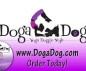 Yoga Instructor Suzi Teitelman&#39;s Doga DVD is highlighted here.Learn how to you can spend time with your dog while getting a great yoga session.
