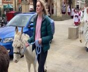 The Palm Sunday procession in Peterborough from destiny diaz is the palm beach