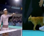 Emma Raducanu bursts into laughter after cat invades court at Abu Dhabi OpenSource: Sky Sports
