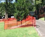 Sydney&#39;s asbestos woes are worsening. The discovery of contaminated mulch in an inner-city park has led to the cancellation the Mardi Gras Fair Day one of the festival&#39;s most popular events.