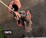 A man who lives in a first-floor apartment devised a contraption to let his cat out easily - a DIY &#92;
