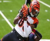 Tee Higgins: What's the Future for the Bengals Receiver? from xxx tee