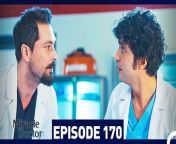 Miracle Doctor Episode 170 &#60;br/&#62;&#60;br/&#62;Ali is the son of a poor family who grew up in a provincial city. Due to his autism and savant syndrome, he has been constantly excluded and marginalized. Ali has difficulty communicating, and has two friends in his life: His brother and his rabbit. Ali loses both of them and now has only one wish: Saving people. After his brother&#39;s death, Ali is disowned by his father and grows up in an orphanage.Dr Adil discovers that Ali has tremendous medical skills due to savant syndrome and takes care of him. After attending medical school and graduating at the top of his class, Ali starts working as an assistant surgeon at the hospital where Dr Adil is the head physician. Although some people in the hospital administration say that Ali is not suitable for the job due to his condition, Dr Adil stands behind Ali and gets him hired. Ali will change everyone around him during his time at the hospital&#60;br/&#62;&#60;br/&#62;CAST: Taner Olmez, Onur Tuna, Sinem Unsal, Hayal Koseoglu, Reha Ozcan, Zerrin Tekindor&#60;br/&#62;&#60;br/&#62;PRODUCTION: MF YAPIM&#60;br/&#62;PRODUCER: ASENA BULBULOGLU&#60;br/&#62;DIRECTOR: YAGIZ ALP AKAYDIN&#60;br/&#62;SCRIPT: PINAR BULUT &amp; ONUR KORALP