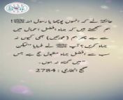 #hadees #dailyhadees #hadith #hadis #dailyblink #islamicstatus #islamicshorts #shorts #trending #daily #ytshorts #hadeessharif &#60;br/&#62;&#60;br/&#62;Disclaimer:&#60;br/&#62;The content presented in our daily Hadith (Hadees) videos is intended solely for educational purposes. These videos aim to provide information about Islamic teachings, traditions, and sayings of Prophet Muhammad (peace be upon him). The content is not intended to endorse any particular interpretation or perspective, and viewers are encouraged to seek guidance from understanding of Islamic teachings. We strive to present authentic and accurate information, but viewers are advised to verify the content independently. The channel is not responsible for any misuse or misinterpretation of the information provided. We promote a spirit of learning, tolerance, and understanding in the pursuit of knowledge.&#60;br/&#62;&#60;br/&#62;Today&#39;s Hadith:&#60;br/&#62;&#60;br/&#62;Narrated `Aisha:&#60;br/&#62;(That she said), &#92;