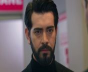 WILL BARAN AND DILAN, WHO SEPARATED WAYS, RECONTINUE?&#60;br/&#62;&#60;br/&#62; Dilan and Baran&#39;s forced marriage due to blood feud turned into a true love over time.&#60;br/&#62;&#60;br/&#62; On that dark day, when they crowned their marriage on paper with a real wedding, the brutal attack on the mansion separates Baran and Dilan from each other again. Dilan has been missing for three months. Going crazy with anger, Baran rouses the entire tribe to find his wife. Baran Agha sends his men everywhere and vows to find whoever took the woman he loves and make them pay the price. But this time, he faces a very powerful and unexpected enemy. A greater test than they have ever experienced awaits Dilan and Baran in this great war they will fight to reunite. What secrets will Sabiha Emiroğlu, who kidnapped Dilan, enter into the lives of the duo and how will these secrets affect Dilan and Baran? Will the bad guys or Dilan and Baran&#39;s love win?&#60;br/&#62;&#60;br/&#62;Production: Unik Film / Rains Pictures&#60;br/&#62;Director: Ömer Baykul, Halil İbrahim Ünal&#60;br/&#62;&#60;br/&#62;Cast:&#60;br/&#62;&#60;br/&#62;Barış Baktaş - Baran Karabey&#60;br/&#62;Yağmur Yüksel - Dilan Karabey&#60;br/&#62;Nalan Örgüt - Azade Karabey&#60;br/&#62;Erol Yavan - Kudret Karabey&#60;br/&#62;Yılmaz Ulutaş - Hasan Karabey&#60;br/&#62;Göksel Kayahan - Cihan Karabey&#60;br/&#62;Gökhan Gürdeyiş - Fırat Karabey&#60;br/&#62;Nazan Bayazıt - Sabiha Emiroğlu&#60;br/&#62;Dilan Düzgüner - Havin Yıldırım&#60;br/&#62;Ekrem Aral Tuna - Cevdet Demir&#60;br/&#62;Dilek Güler - Cevriye Demir&#60;br/&#62;Ekrem Aral Tuna - Cevdet Demir&#60;br/&#62;Buse Bedir - Gül Soysal&#60;br/&#62;Nuray Şerefoğlu - Kader Soysal&#60;br/&#62;Oğuz Okul - Seyis Ahmet&#60;br/&#62;Alp İlkman - Cevahir&#60;br/&#62;Hacı Bayram Dalkılıç - Şair&#60;br/&#62;Mertcan Öztürk - Harun&#60;br/&#62;&#60;br/&#62;#vendetta #kançiçekleri #bloodflowers #urdudubbed #baran #dilan #DilanBaran #kanal7 #barışbaktaş #yagmuryuksel #kancicekleri #episode27