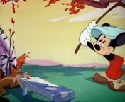 for more (mickey mouse/pluto) cartoons/episodes and easy acces/overview visit &#60;br/&#62;https://goodcartoonarchive.blogspot.com&#60;br/&#62;&#60;br/&#62;follow/visit the blog to not miss any cartoons&#60;br/&#62;&#60;br/&#62;mickey mouse - donald duck&#60;br/&#62;#mickeymouse #mickey_mouse #minniemouse #minnie_mouse &#60;br/&#62;#cartoon #oldcartoon #old_cartoon #classiccartoon #classic_cartoon #pluto